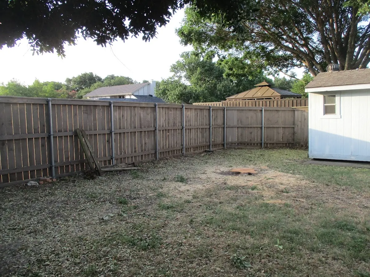 Cleared yard after professional tree removal in Lake Butler